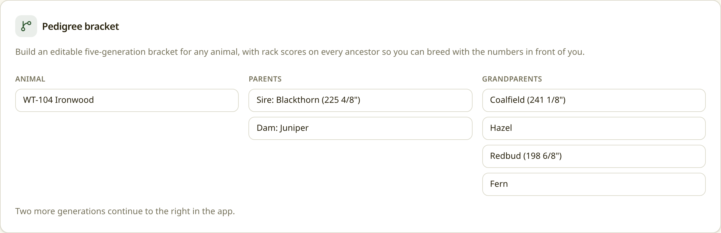Pedigree bracket screen in Deer Farmers Friend